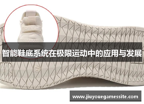 智能鞋底系统在极限运动中的应用与发展